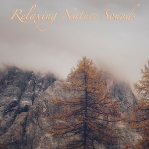 Relaxing Nature Sounds