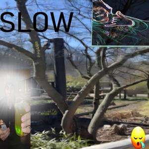 Slowly (feat. Squ1ddy)