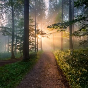 Chill Playlist - Restoring Balance Within