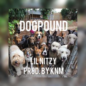 Dogpound Freestyle (Explicit)