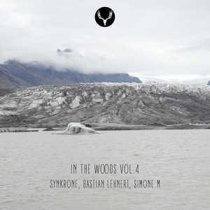 No Techno For Thomas (Original Mix)
