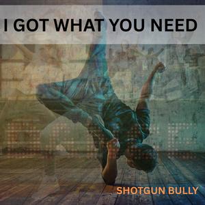 I GOT WHAT YOU NEED (Explicit)