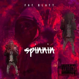 Facts (Explicit)