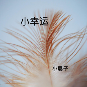 谢谢你的爱 (DJ版)