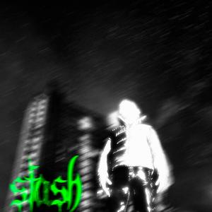 stash (feat. dyingsoon!) (Explicit)
