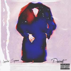 Peacoat (feat. Lamieke Supreme) (Explicit)