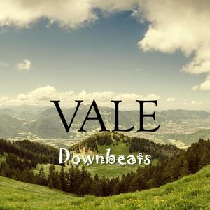 Vale