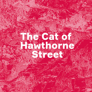 The Cat of Hawthorne Street