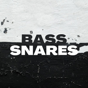 Bass Snares