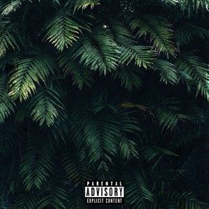Last Gun (Explicit)