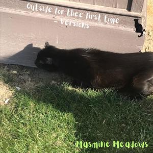 Outside for thee first time - Versions