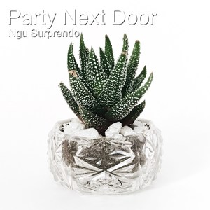 Party Next Door (Explicit)