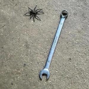 Blackberry Fabulous (Lil S3 & Lilac X2 Remix|Explicit)