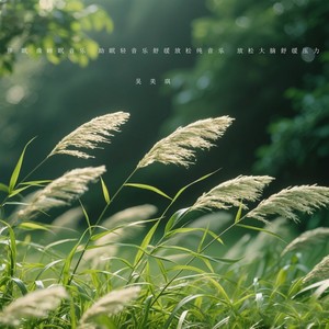 婴儿睡眠音乐 快速入睡