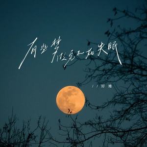 好难 - 有些梦做完不如失眠