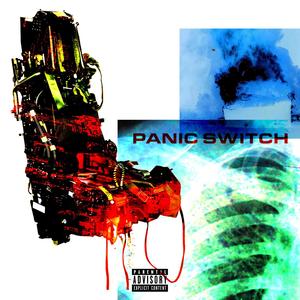 Panic Switch