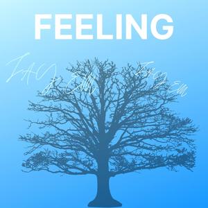 Feeling