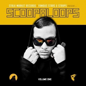 Scoopaloops