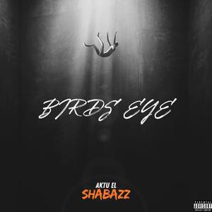 BIRDSEYE (Explicit)