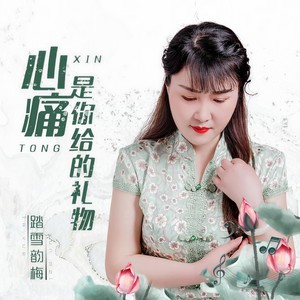 心痛是你给的礼物