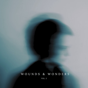 Wounds & Wonders, Vol. 2