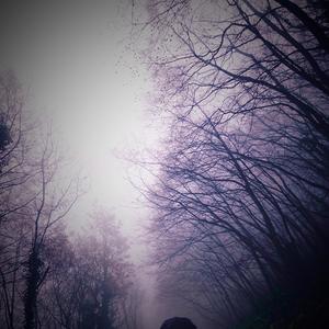 FKBae(feat. Freelanxe) (Explicit)