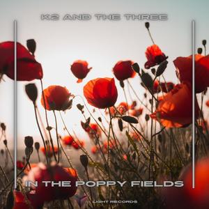 In The Poppy Fields