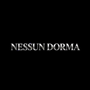 Nessun Dorma (Mariachi Version)