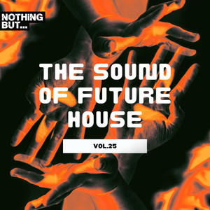 Future House Selections, Vol. 25