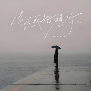 你说，我好想你