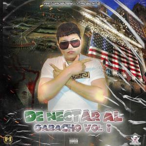 De Nectar al gabacho vol.1 (Explicit)