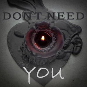 Don't Need You (Explicit)