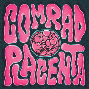 Placenta