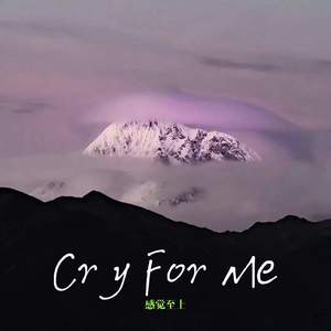 Cry For Me (感觉至上)