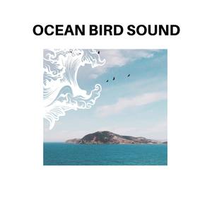 Ocean Bird Sound