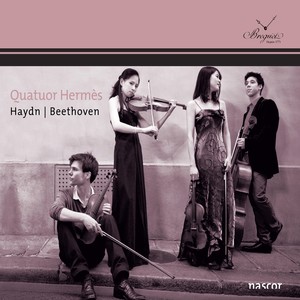Quatuor à cordes Op. 20 No. 5 Hob.III :35 - Quatuor à cordes Op. 20 No. 5 Hob.III :35: I. Moderato