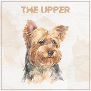 The Upper (Explicit)