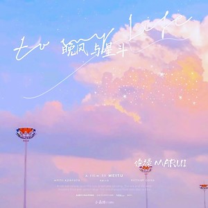 晚风与星斗 - 借一盏月封面