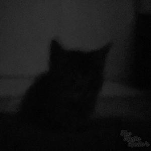 Spookin Round the Graveyard