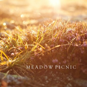 Meadow Picnic