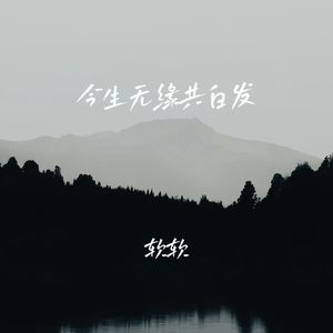今生无缘共白发