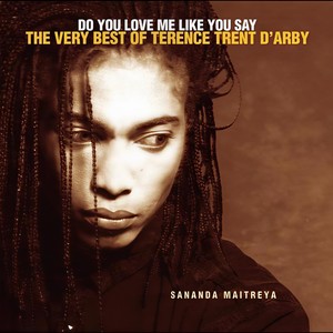 Terence Trent D'Arby - Vibrator