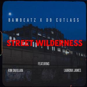 Street Wilderness (feat. Rim & LaBronx James) [Explicit]