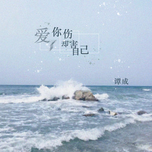 爱你却伤害了自己 (DJ可乐版)