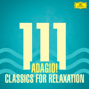 Violin Concerto No. 1 in G minor, Op. 26 - 2. Adagio