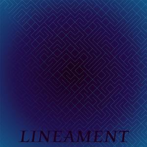 Lineament