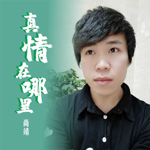 真情在哪里