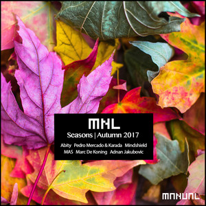 Seasons | Autumn 2017