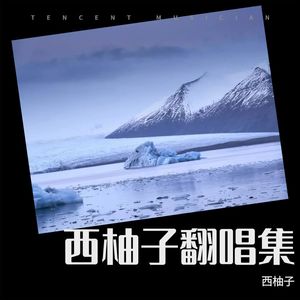 无缘封面