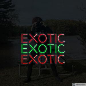 Exotic (Explicit)